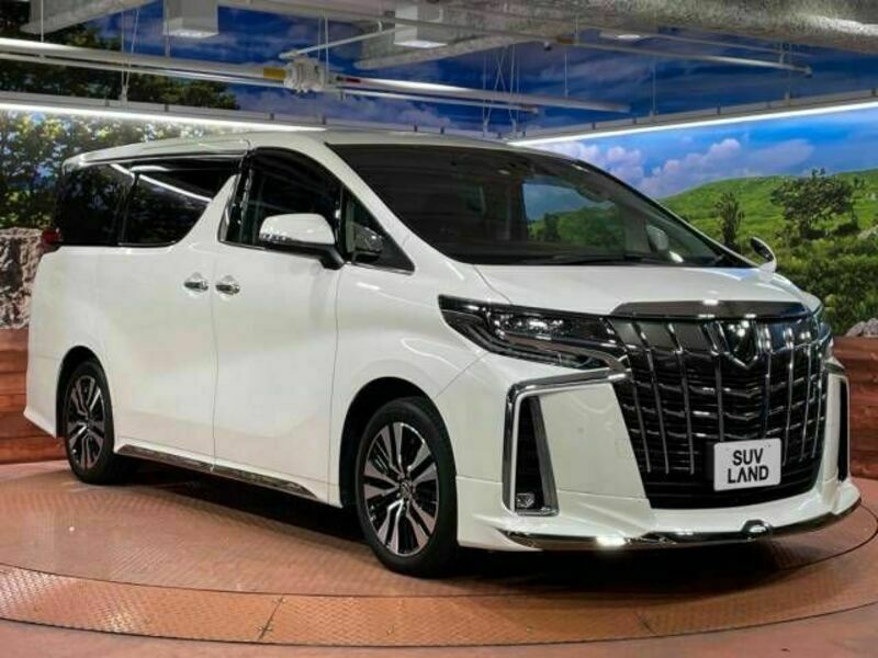 ALPHARD-17