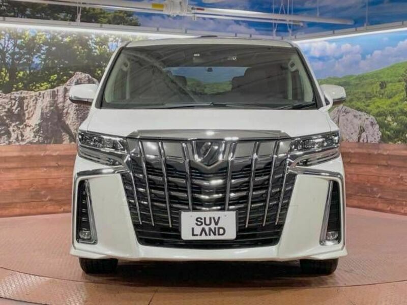 ALPHARD-14