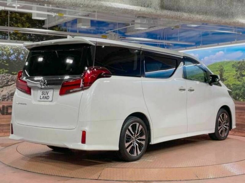 ALPHARD-17