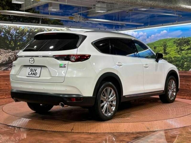 CX-8-14