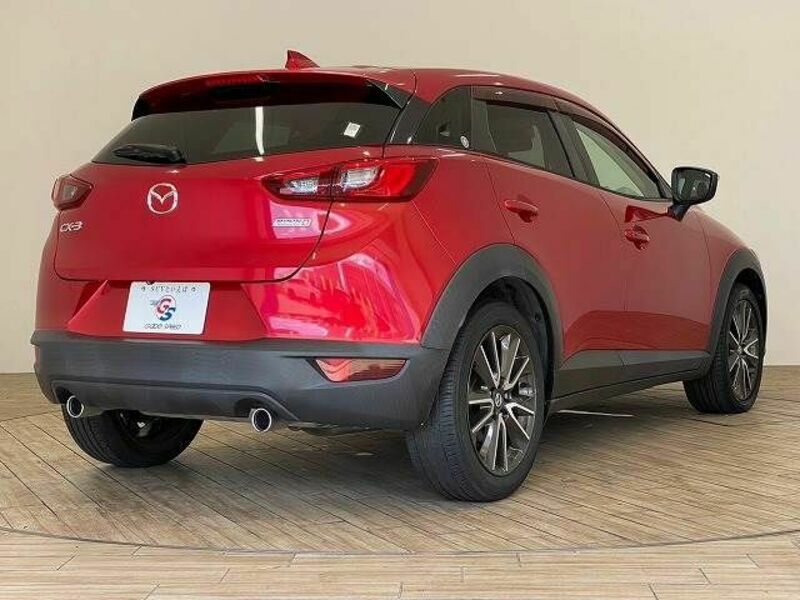 CX-3-13