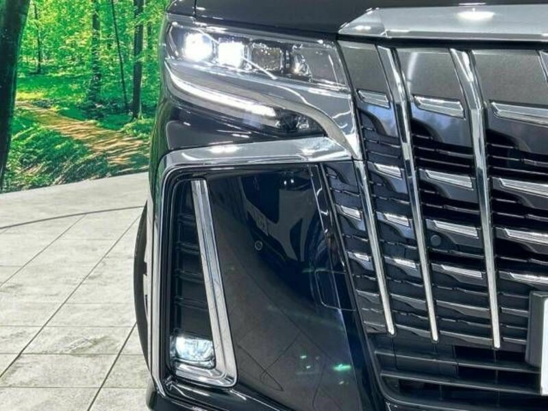 ALPHARD-12