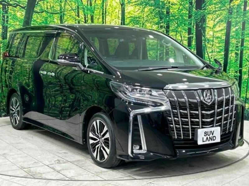 ALPHARD-16