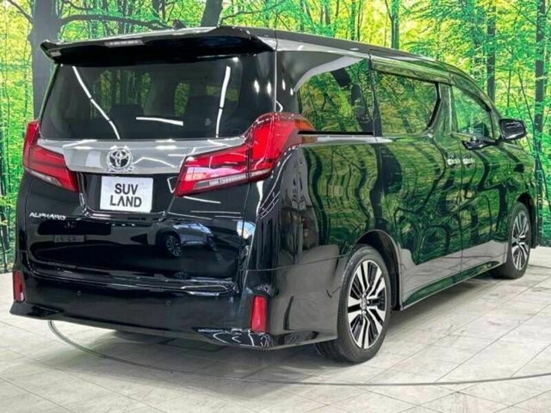 ALPHARD-17