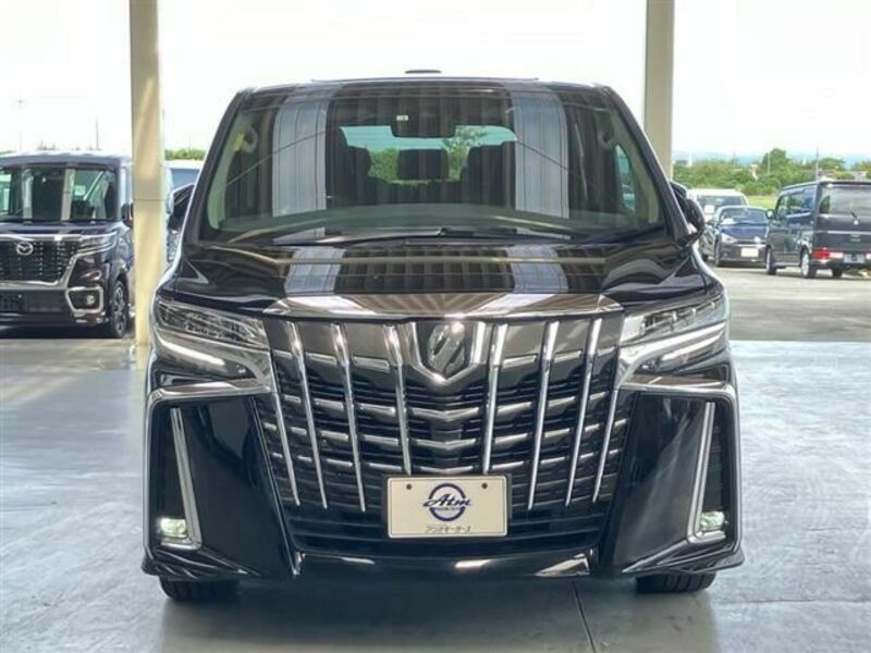 ALPHARD-19