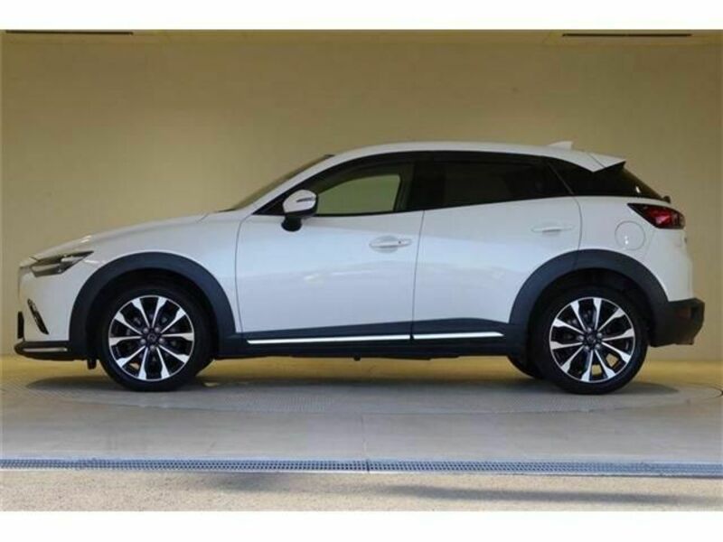 CX-3-19