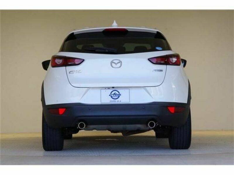 CX-3-21