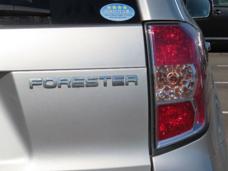 FORESTER-29