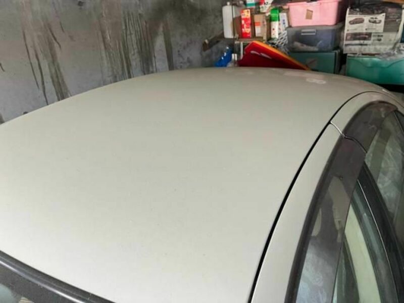 BLUEBIRD SYLPHY