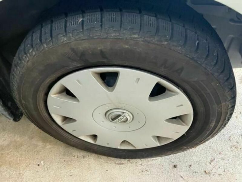 BLUEBIRD SYLPHY