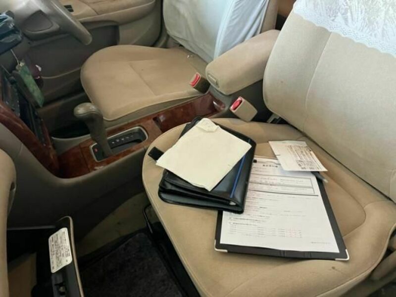 BLUEBIRD SYLPHY