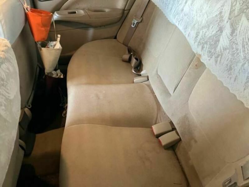 BLUEBIRD SYLPHY