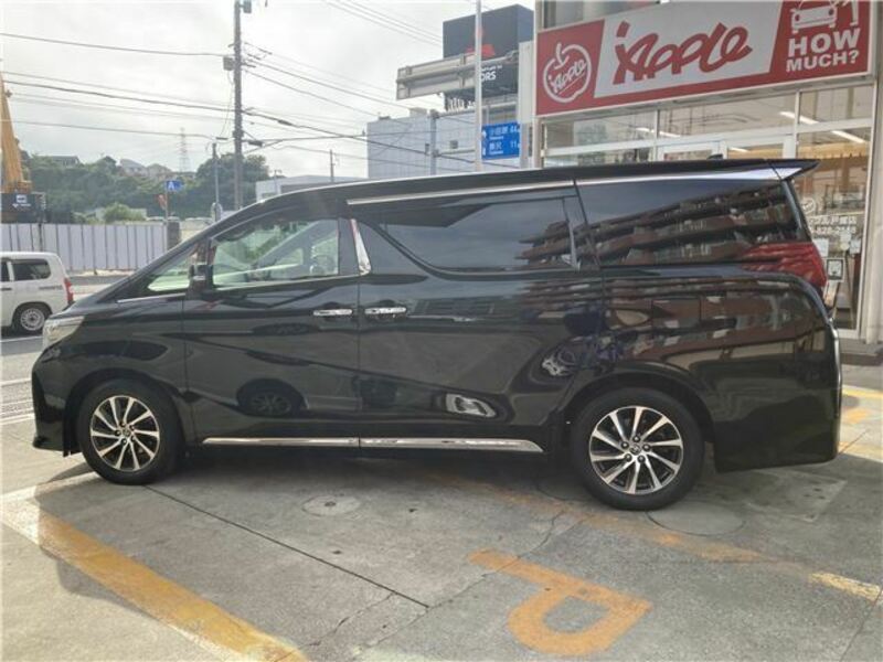 ALPHARD-10