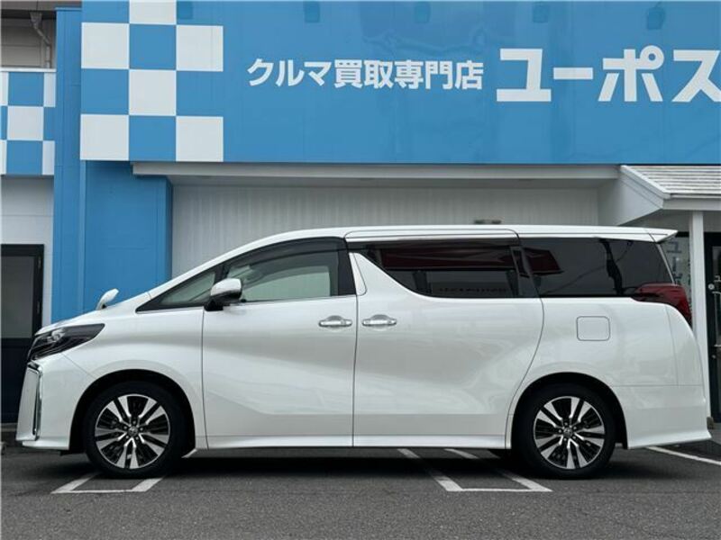 ALPHARD-7