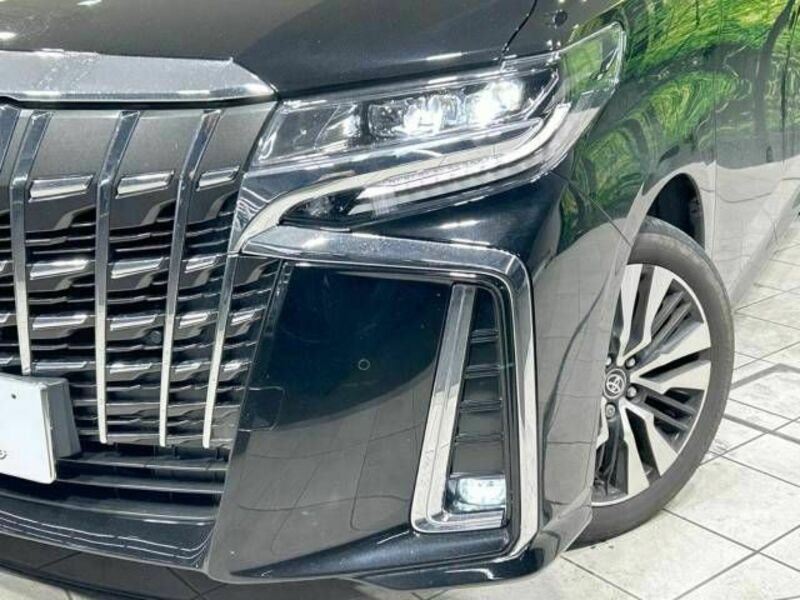 ALPHARD-13