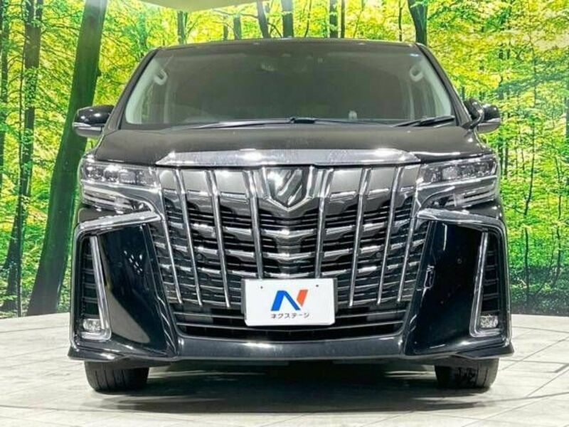 ALPHARD-15