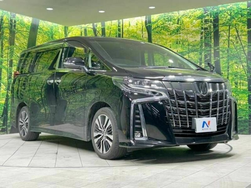 ALPHARD-17