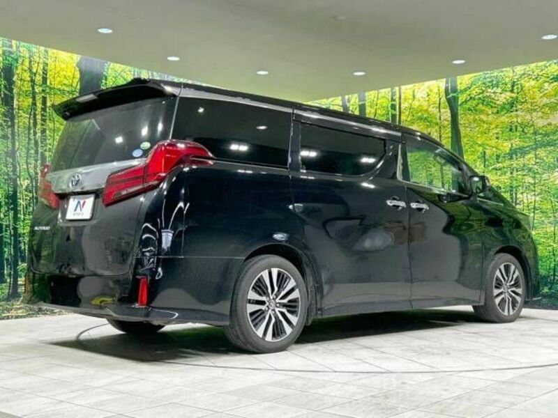 ALPHARD-18