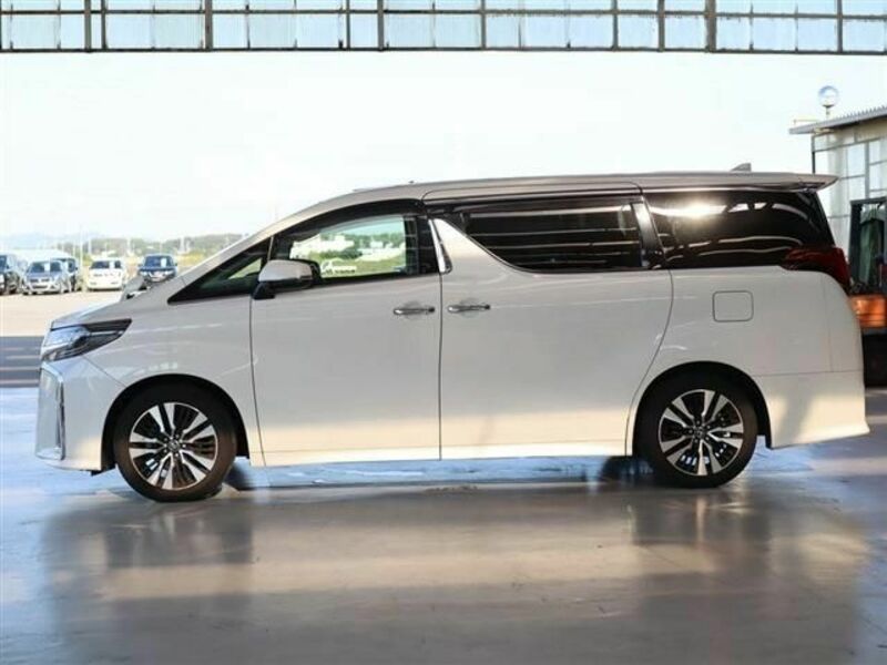 ALPHARD-6