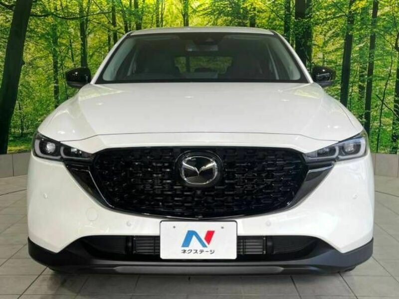 CX-5-14