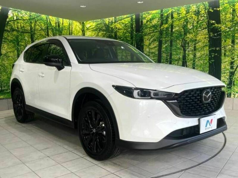 CX-5-16