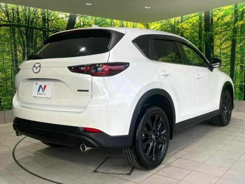 CX-5-17