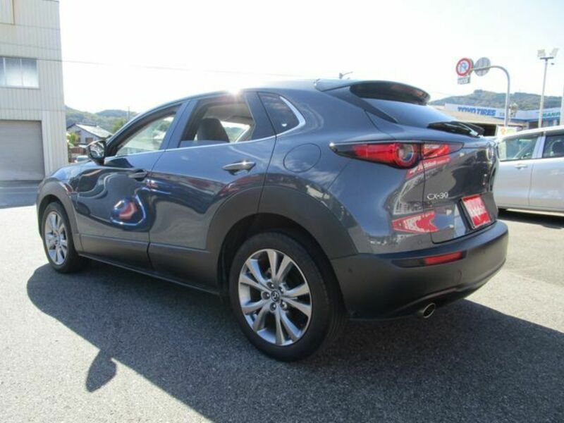 CX-30-1