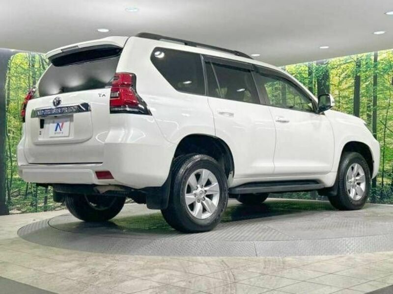 LAND CRUISER PRADO-17