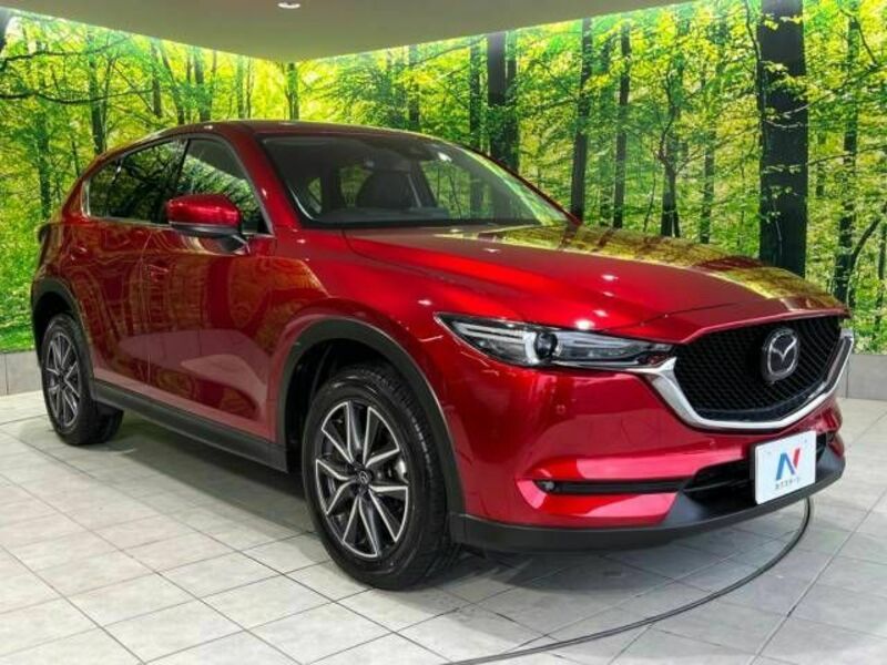 CX-5-16