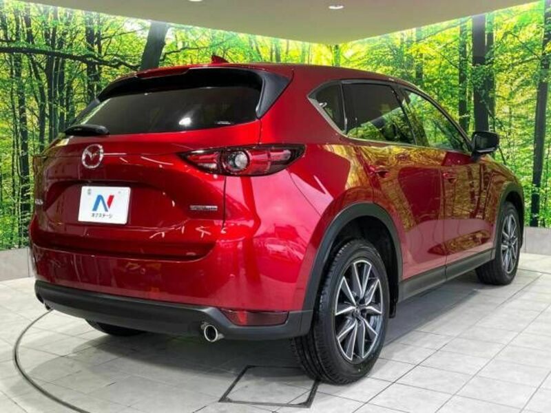 CX-5-17