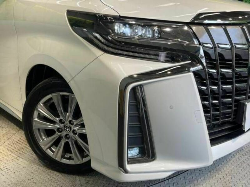 ALPHARD-13