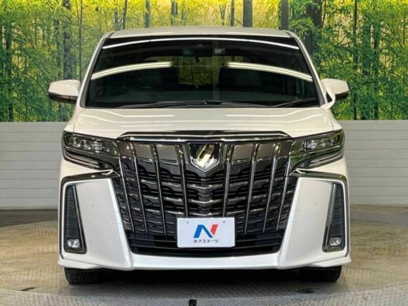 ALPHARD-15