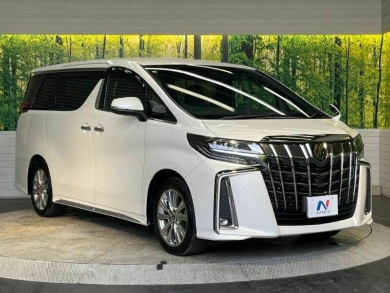 ALPHARD-17