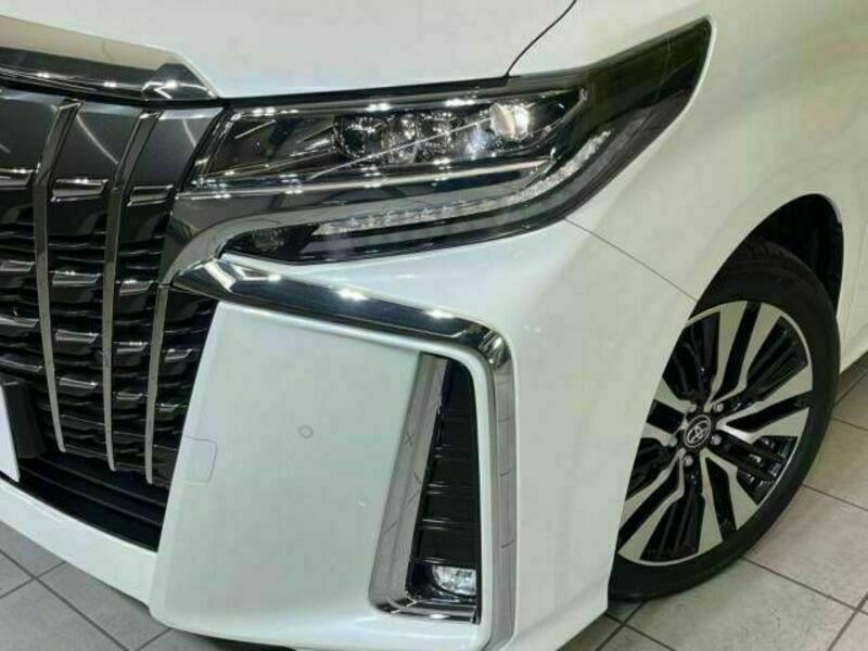 ALPHARD-13