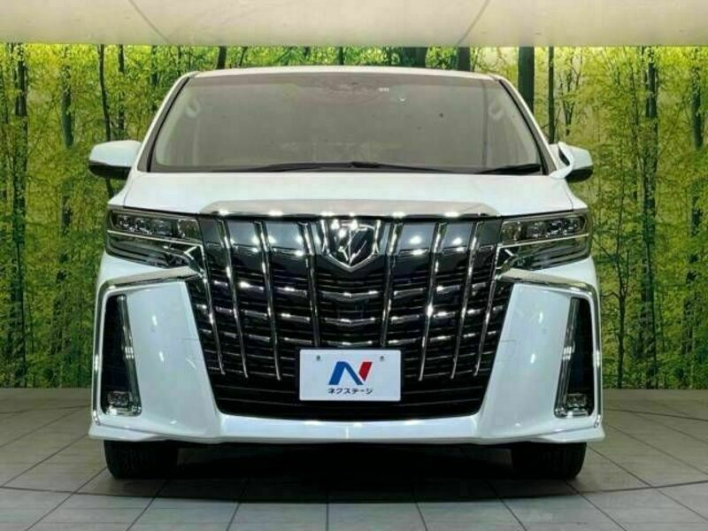 ALPHARD-15