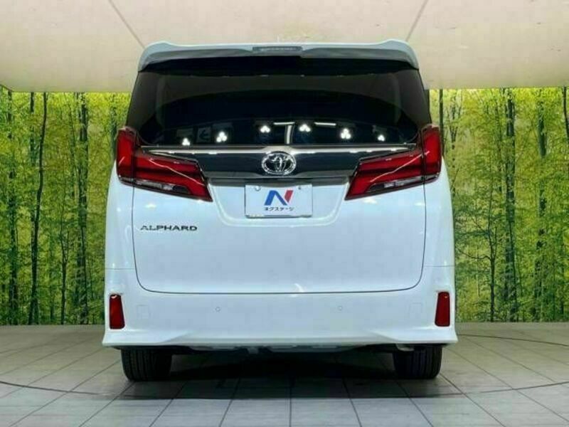 ALPHARD-16