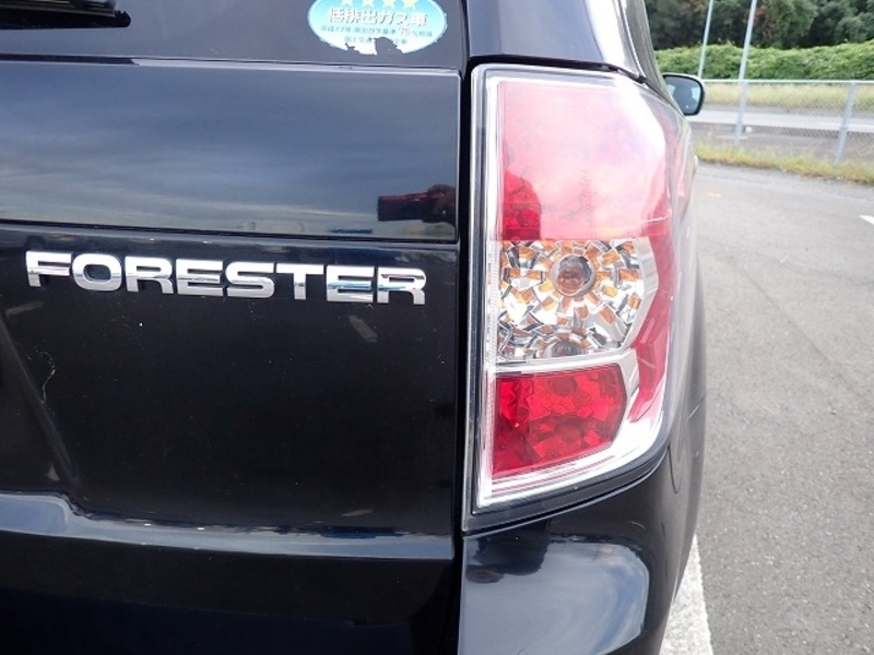 FORESTER