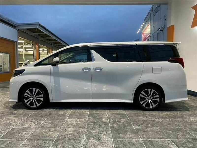 ALPHARD-10