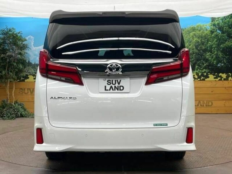 ALPHARD-16