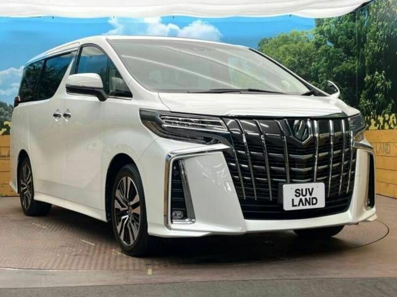 ALPHARD-17