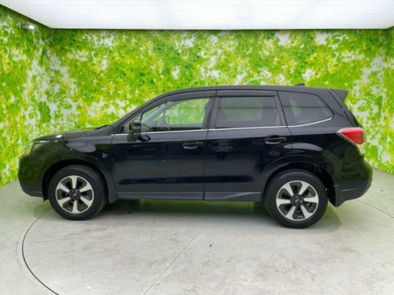 FORESTER-1