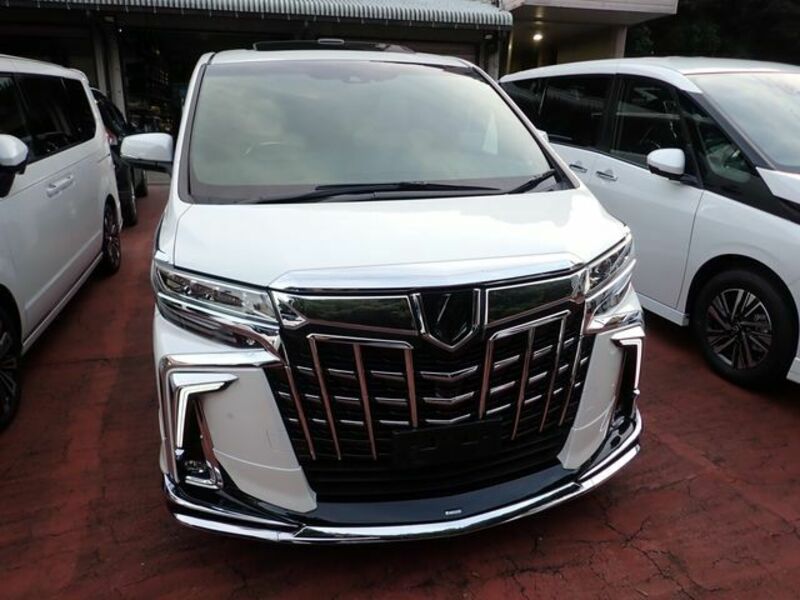 ALPHARD-10