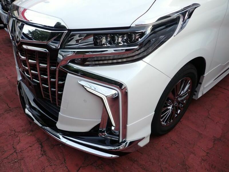 ALPHARD-12