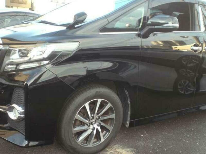 ALPHARD-11