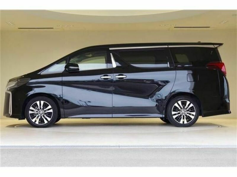 ALPHARD-19