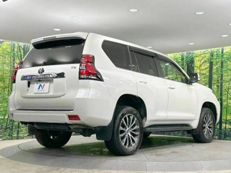 LAND CRUISER PRADO-17