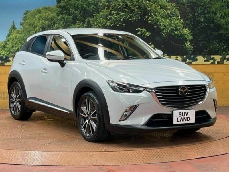 CX-3-18