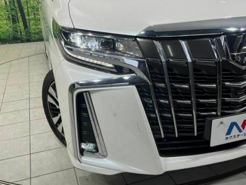 ALPHARD-12