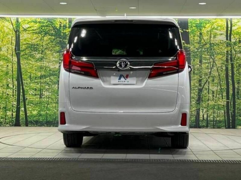 ALPHARD-15