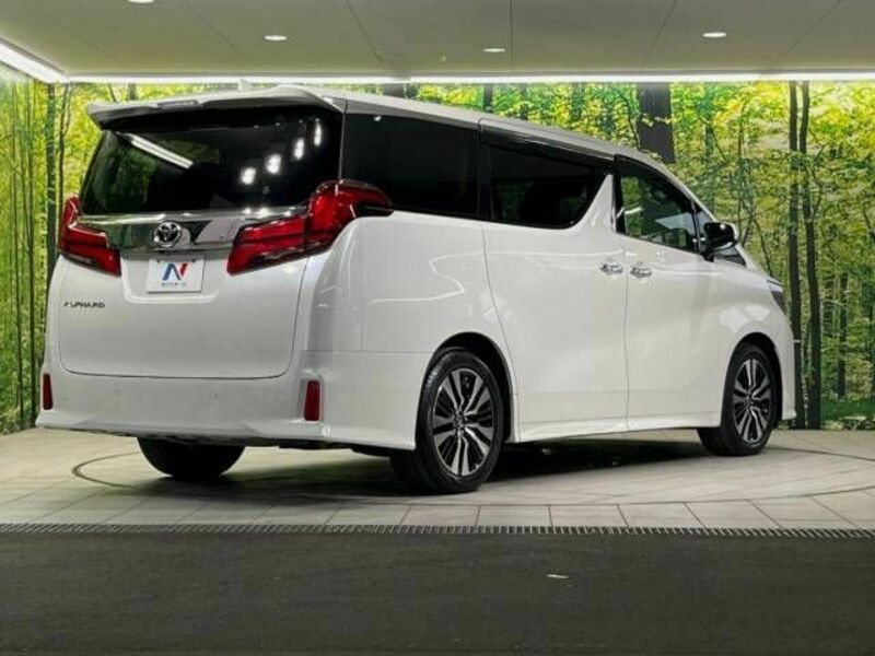 ALPHARD-17